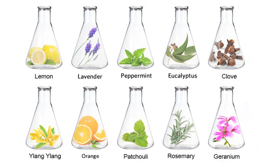 Kit Aromathérapie LagunaMoon - Diffuseur + 10 Huiles Essentielles